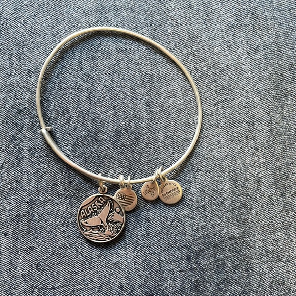 Alex and Ani silver Alaska charm stacker. - Picture 1 of 3